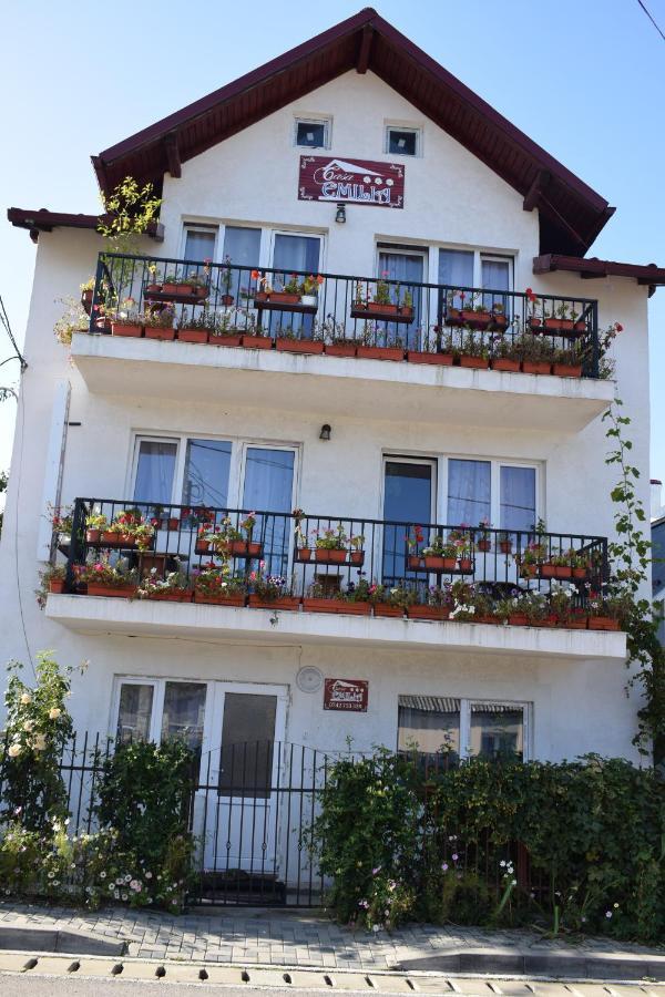 Casa Emilia Hotel Vatra Dornei Exterior photo